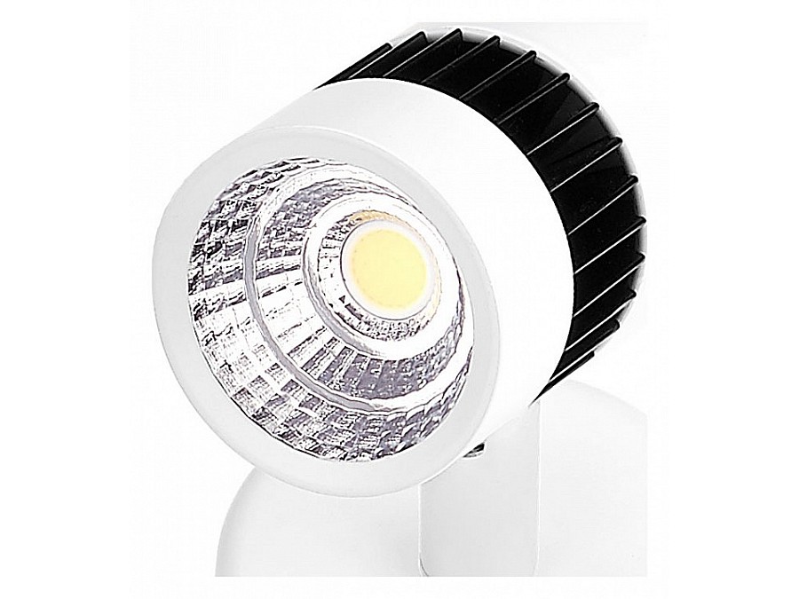 Спот Ambrella Techno Spot TN101/10W WH/BK