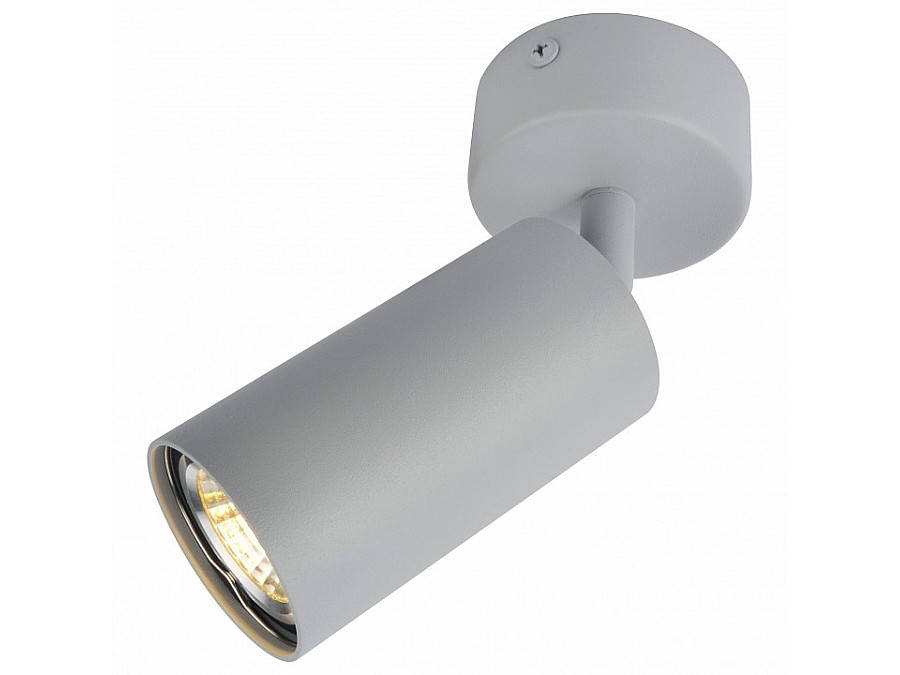 Спот Arte Lamp 3216 A3216PL-1GY