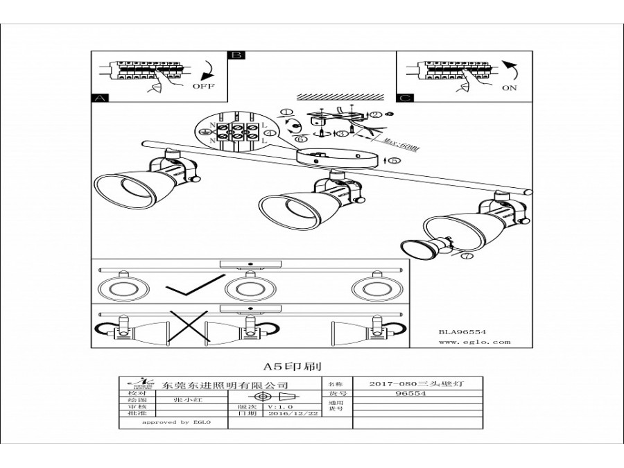 Спот Eglo Seras 96554