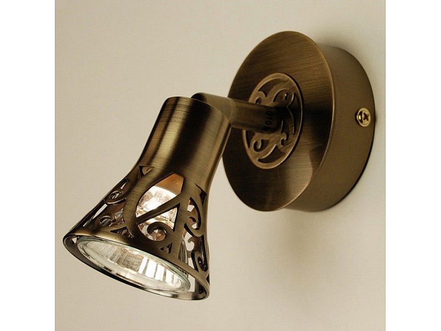 Спот Citilux Винон CL519513