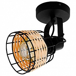 Спот Eglo Anwick 1 43324