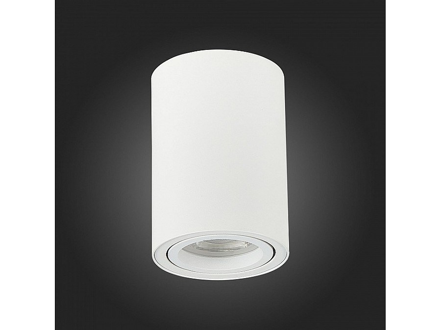 Спот ST-Luce Torus ST108.507.01
