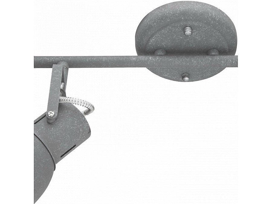 Спот Arte Lamp 1677 A1677PL-2GY