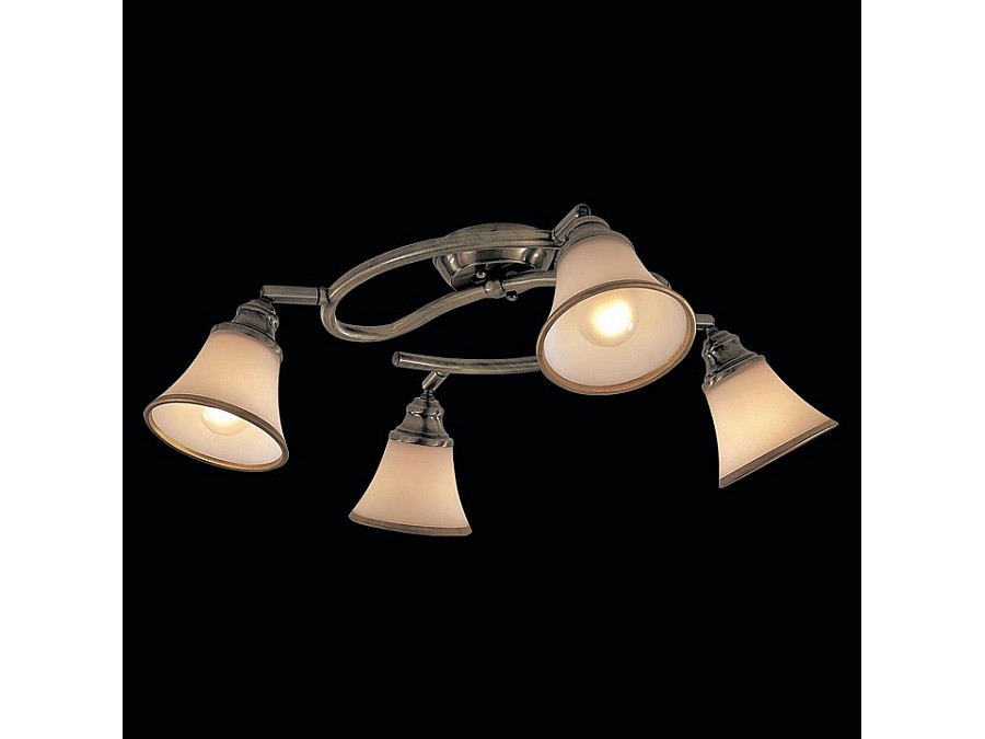 Спот Citilux Прованс CL511143
