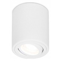 Спот Ambrella TN TN225