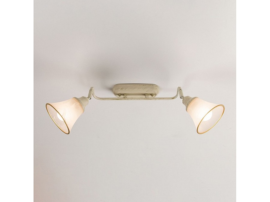 Спот Citilux Прованс CL511524