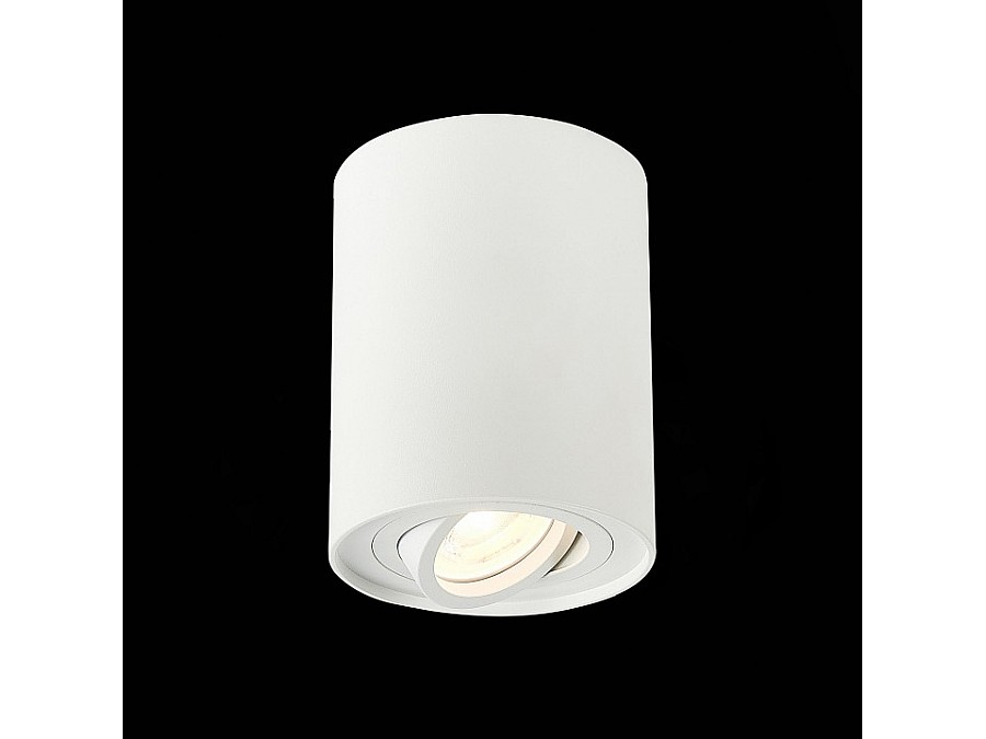 Спот ST-Luce Torus ST108.517.01