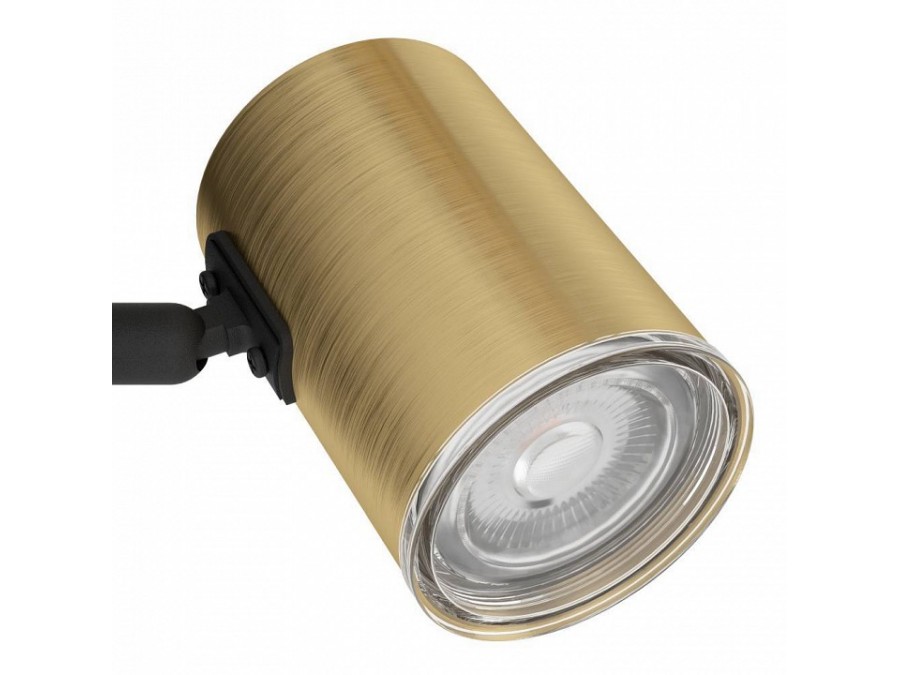 Спот Eglo CONSUMA 1 300583