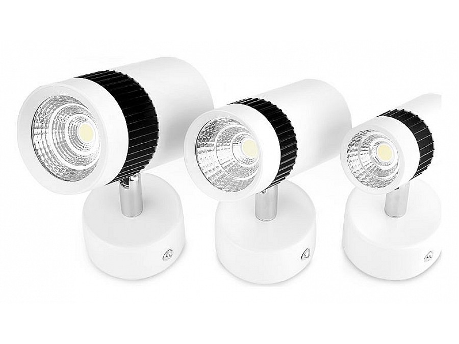 Спот Ambrella Techno Spot TN101/10W WH/BK