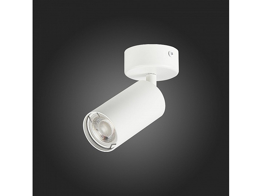 Спот ST-Luce Dario ST303.502.01
