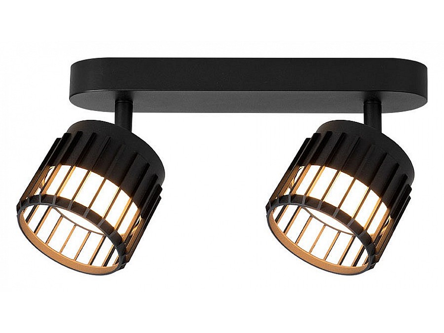 Спот Arte Lamp Atria A8031PL-2BK