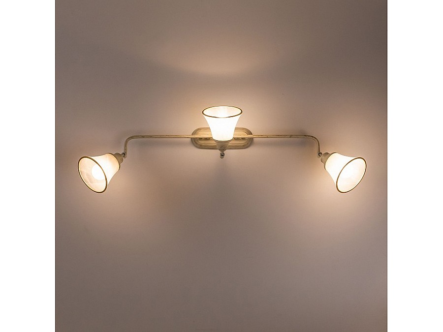 Спот Citilux Прованс CL511534