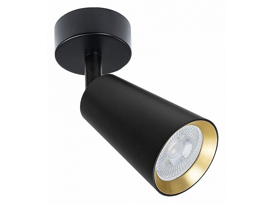 Спот Arte Lamp Cintura A2353PL-1BK