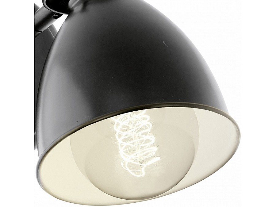 Спот Eglo Priddy 49468