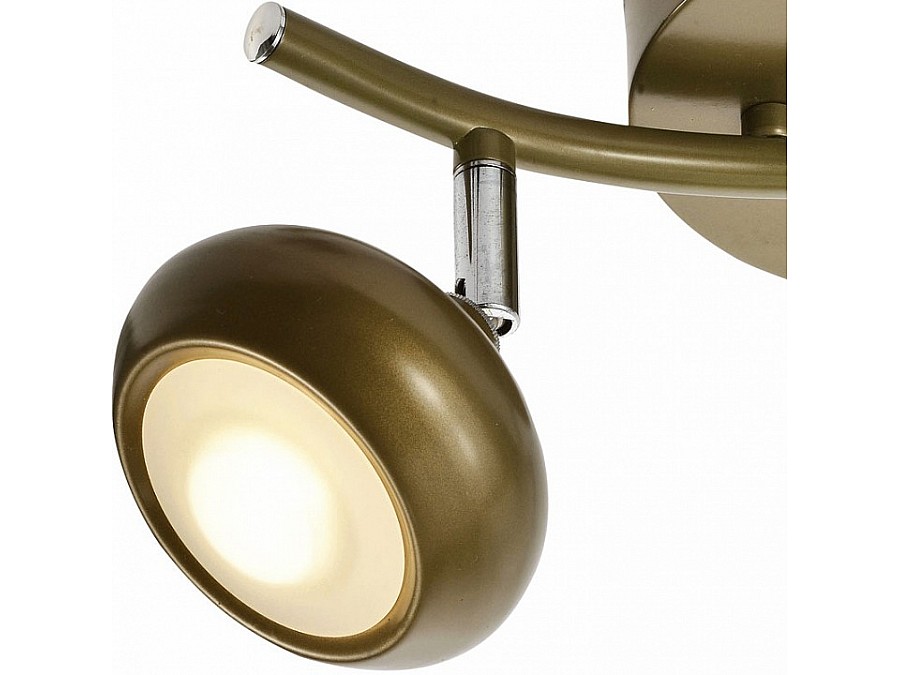 Спот TopLight Carissa TL1244Y-02SG