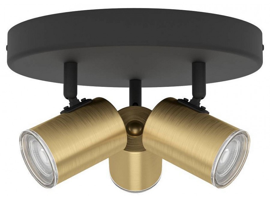 Спот Eglo CONSUMA 1 300586