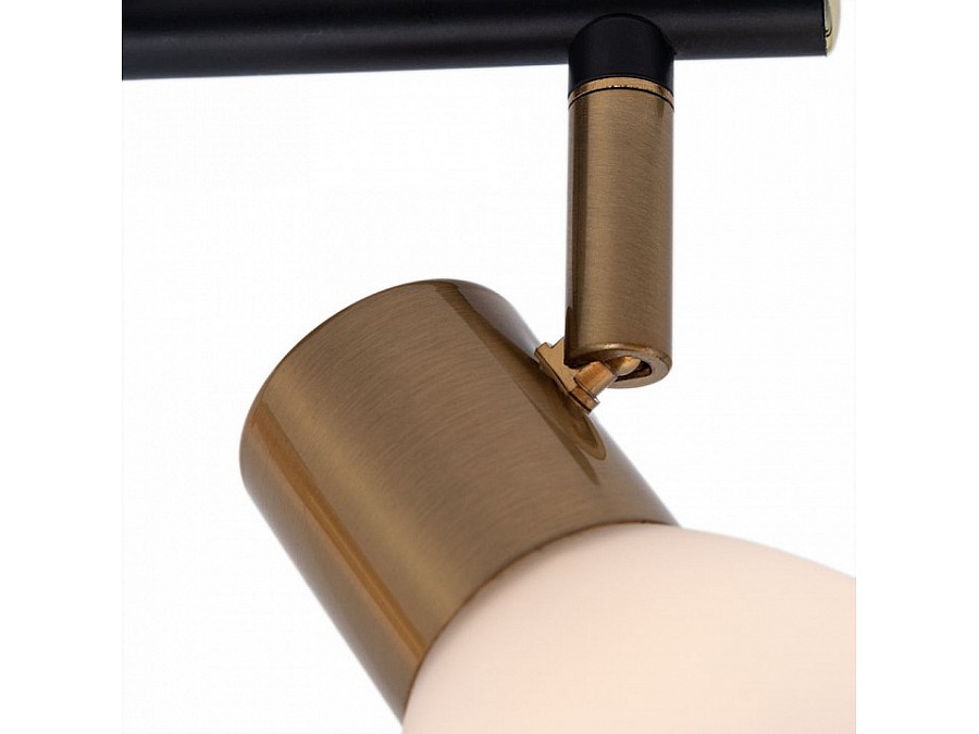 Спот Arte Lamp Falena A3117PL-2BK