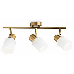 Спот Ambrella TR TR3972