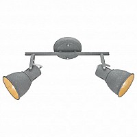 Спот Arte Lamp 1677 A1677PL-2GY
