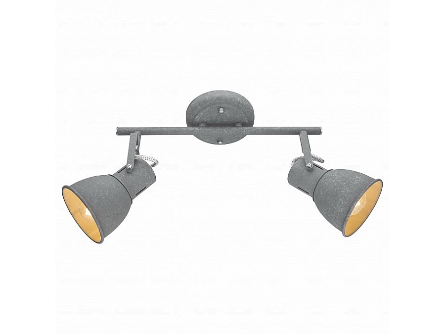 Спот Arte Lamp 1677 A1677PL-2GY