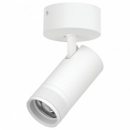 Спот Lightstar Canno Pro C4306SO