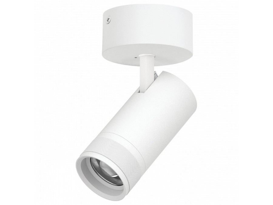 Спот Lightstar Canno Pro C4306SO