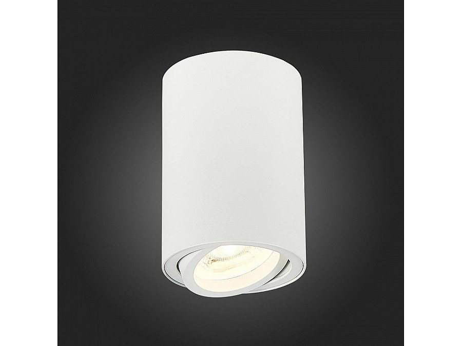 Спот ST-Luce Torus ST108.507.01
