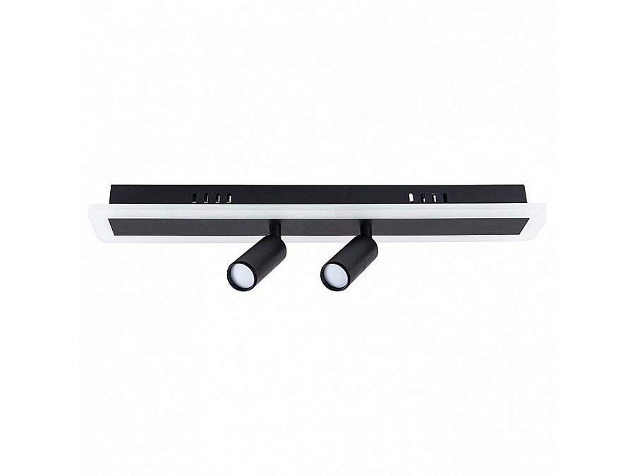 Спот Arte Lamp Tommy A2607PL-22BK