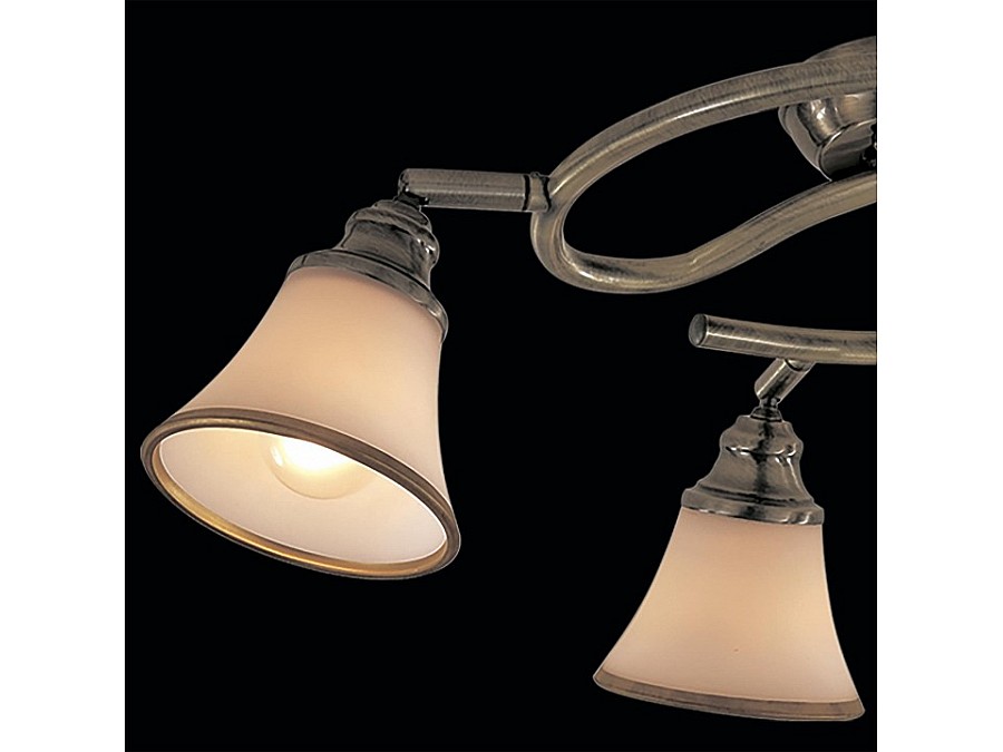 Спот Citilux Прованс CL511143