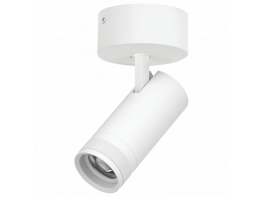 Спот Lightstar Canno Pro C4206SO