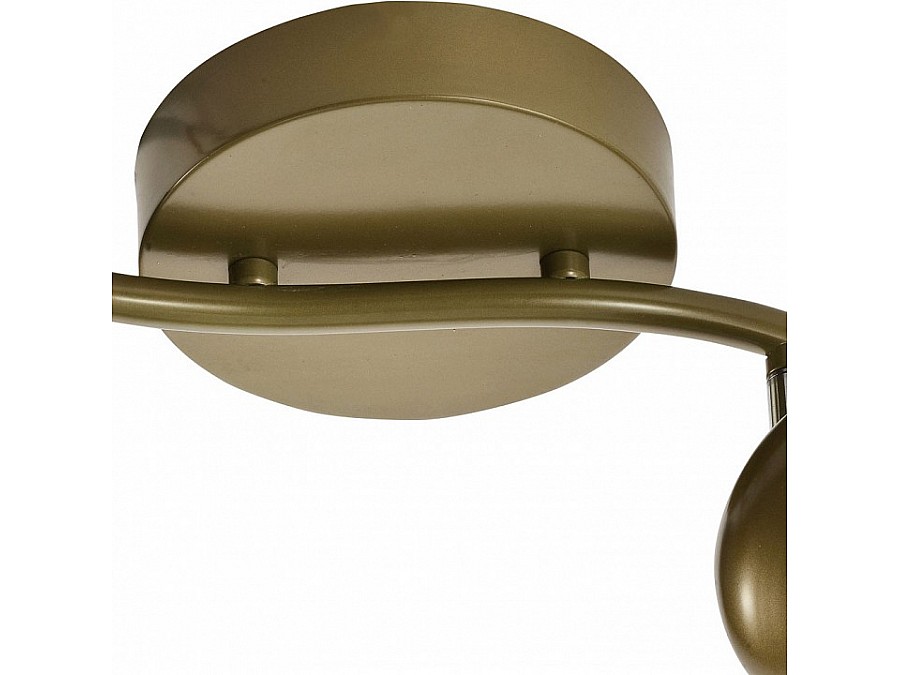 Спот TopLight Carissa TL1244Y-02SG