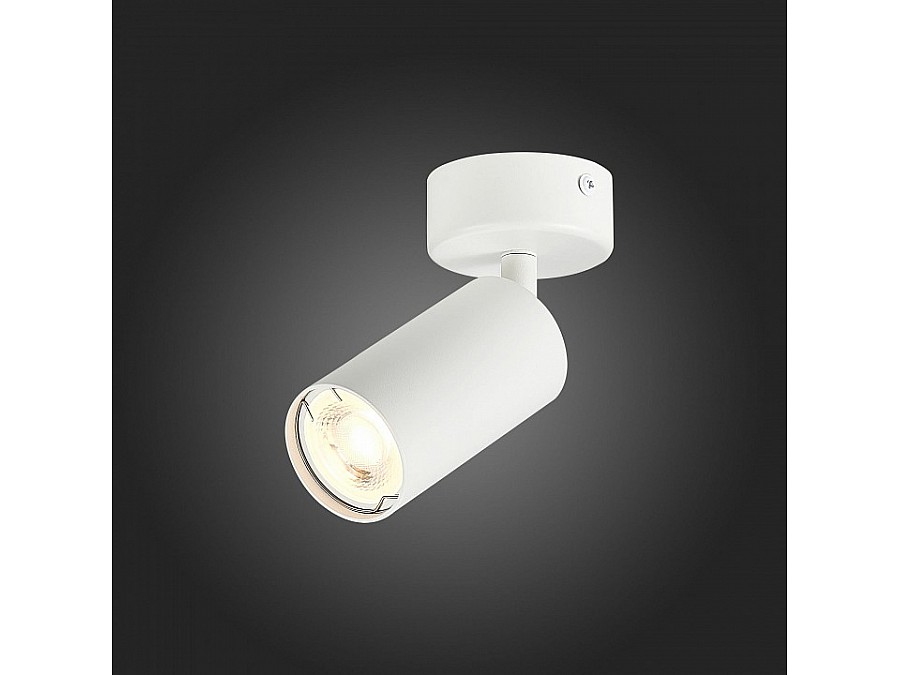 Спот ST-Luce Dario ST303.502.01