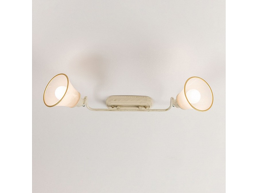 Спот Citilux Прованс CL511524