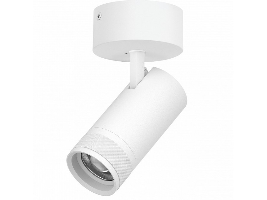 Спот Lightstar Canno Pro C4306SO