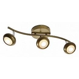 Спот TopLight Carissa TL1244Y-03SG