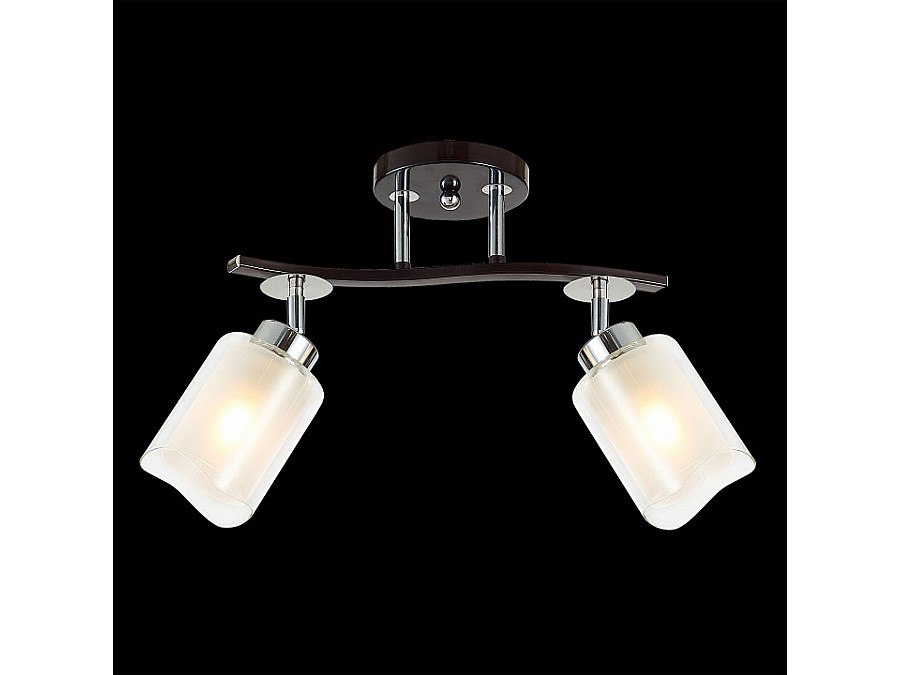 Спот Citilux Фортуна CL156122