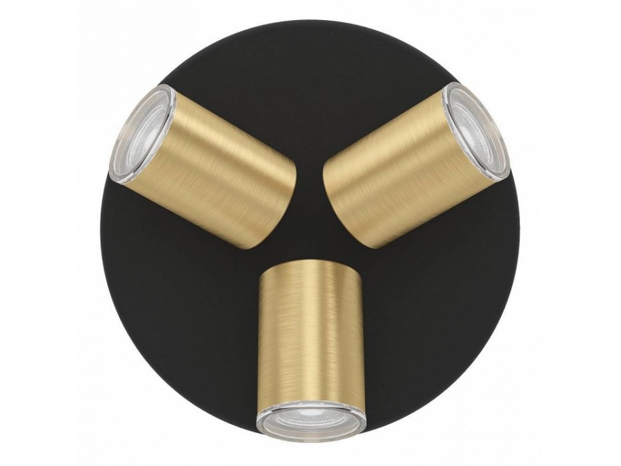 Спот Eglo CONSUMA 1 300586