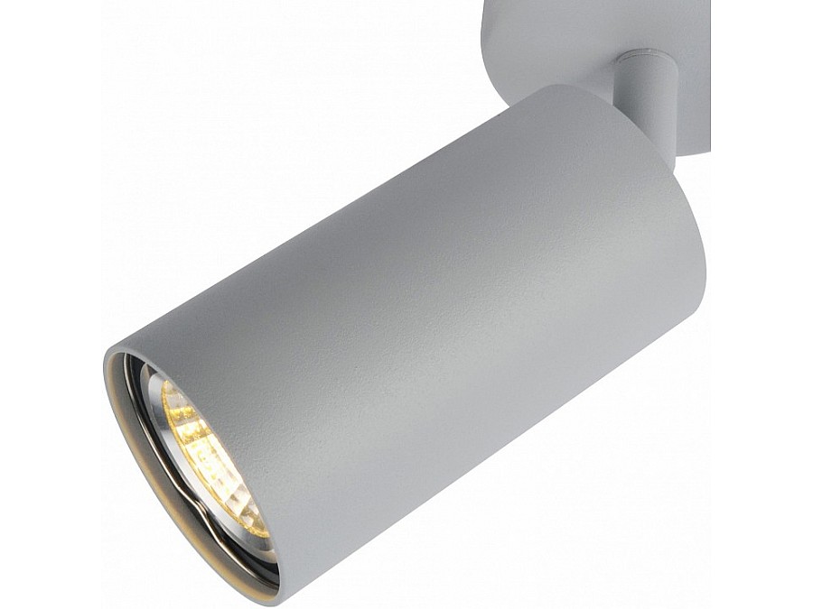 Спот Arte Lamp 3216 A3216PL-1GY