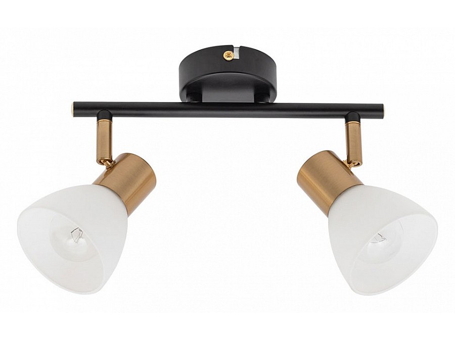 Спот Arte Lamp Falena A3117PL-2BK