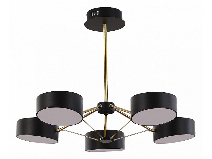Люстра на штанге EVOLUCE Valle SLE6005-402-05