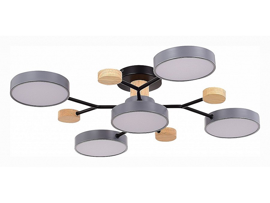 Потолочная люстра EVOLUCE Faema SLE6006-702-05