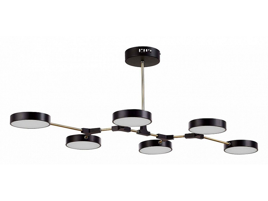 Люстра на штанге EVOLUCE Monta SLE6004-402-06