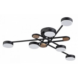 Потолочная люстра Arte Lamp Taygeta A2455PL-6BK