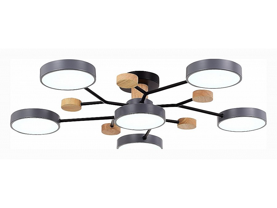 Потолочная люстра EVOLUCE Faema SLE6006-702-06