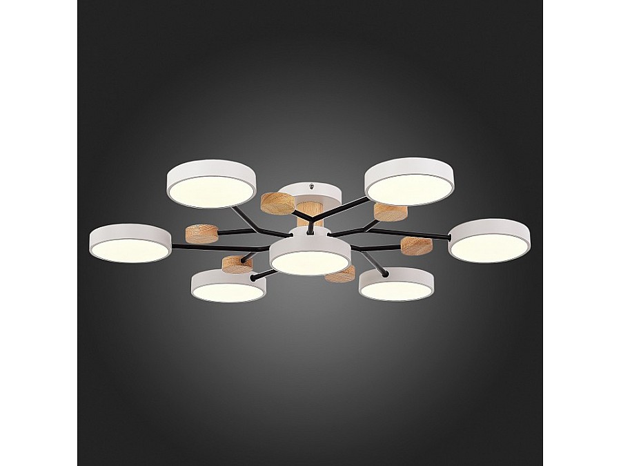 Потолочная люстра EVOLUCE Faema SLE6006-502-07