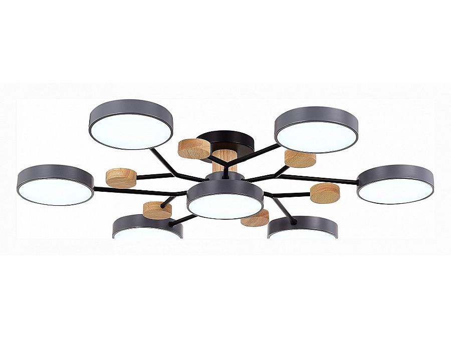 Потолочная люстра EVOLUCE Faema SLE6006-702-07