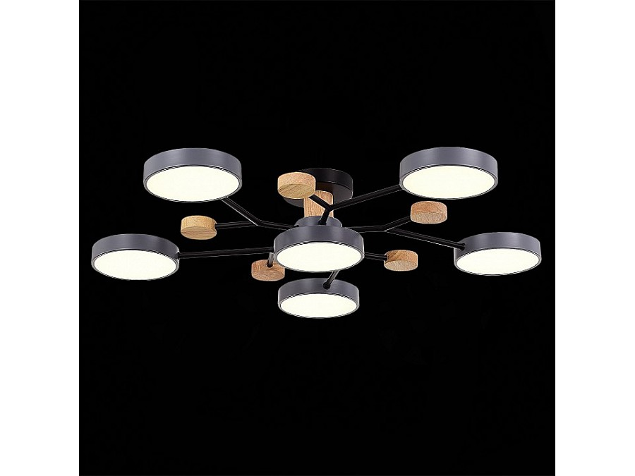 Потолочная люстра EVOLUCE Faema SLE6006-702-06