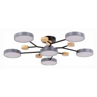 Потолочная люстра EVOLUCE Faema SLE6006-702-06