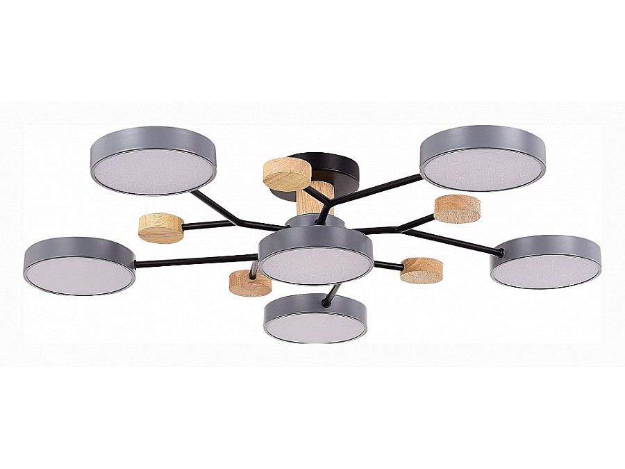 Потолочная люстра EVOLUCE Faema SLE6006-702-06