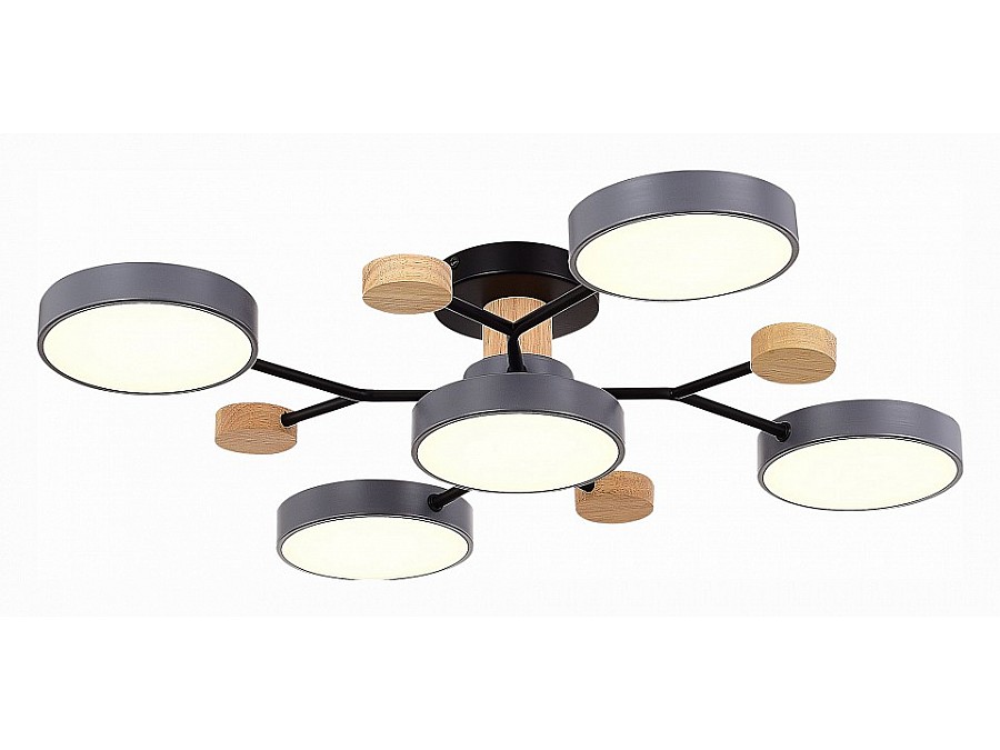 Потолочная люстра EVOLUCE Faema SLE6006-702-05